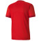 PUMA teamGOAL 23 Trainingsshirt