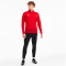 PUMA teamGOAL 23 Training 1/4-Zip Top PUMA red/chili pepper S
