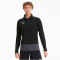 PUMA teamGOAL 23 Training 1/4-Zip Top PUMA black/asphalt 3XL