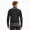 PUMA teamGOAL 23 Training 1/4-Zip Top PUMA black/asphalt 3XL