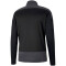 PUMA teamGOAL 23 Training 1/4-Zip Top PUMA black/asphalt 3XL