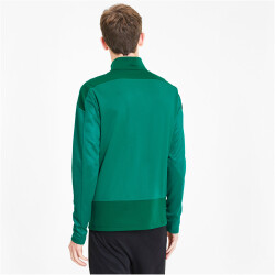 PUMA teamGOAL 23 Training 1/4-Zip Top pepper green/power green S