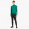 PUMA teamGOAL 23 Training 1/4-Zip Top pepper green/power green S