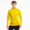 PUMA teamGOAL 23 Training 1/4-Zip Top cyber yellow/spectra yellow S