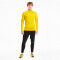PUMA teamGOAL 23 Training 1/4-Zip Top cyber yellow/spectra yellow L