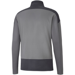 PUMA teamGOAL 23 Training 1/4-Zip Top steel gray/asphalt 3XL