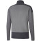 PUMA teamGOAL 23 Training 1/4-Zip Top steel gray/asphalt S