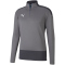 PUMA teamGOAL 23 Training 1/4-Zip Top steel gray/asphalt XXL