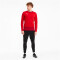 PUMA teamGOAL 23 Training Sweatshirt PUMA red/chili pepper M