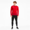 PUMA teamGOAL 23 Training Sweatshirt PUMA red/chili pepper S