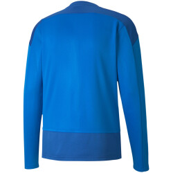 PUMA teamGOAL 23 Training Sweatshirt electric blue lemonade/team power blue M