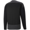 PUMA teamGOAL 23 Training Sweatshirt PUMA black/asphalt S