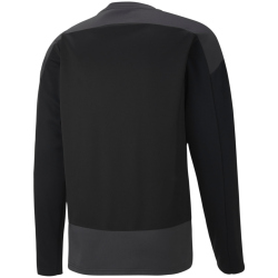 PUMA teamGOAL 23 Training Sweatshirt PUMA black/asphalt L