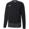PUMA teamGOAL 23 Training Sweatshirt PUMA black/asphalt XXL