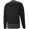 PUMA teamGOAL 23 Training Sweatshirt PUMA black/asphalt XXL