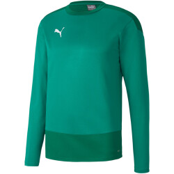 PUMA teamGOAL 23 Training Sweatshirt pepper green/power...