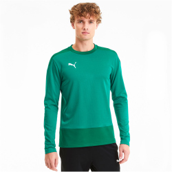 PUMA teamGOAL 23 Training Sweatshirt pepper green/power...
