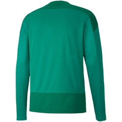 PUMA teamGOAL 23 Training Sweatshirt pepper green/power green XXL