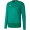 PUMA teamGOAL 23 Training Sweatshirt pepper green/power green XXL