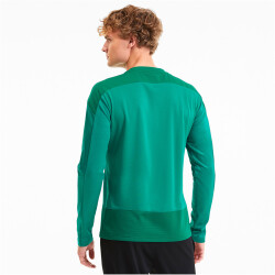 PUMA teamGOAL 23 Training Sweatshirt pepper green/power green S