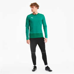 PUMA teamGOAL 23 Training Sweatshirt pepper green/power green S
