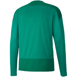 PUMA teamGOAL 23 Training Sweatshirt pepper green/power green L