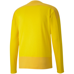 PUMA teamGOAL 23 Training Sweatshirt cyber yellow/spectra yellow S