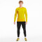 PUMA teamGOAL 23 Training Sweatshirt cyber yellow/spectra yellow XXL