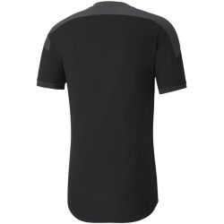 3er Pack PUMA teamFINAL 21 Sideline Trainingsshirt PUMA black/asphalt S