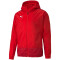 PUMA teamGOAL 23 Training Regenjacke PUMA red/chili pepper M