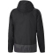 PUMA teamGOAL 23 Training Regenjacke PUMA black/asphalt 3XL