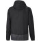 PUMA teamGOAL 23 Training Regenjacke PUMA black/asphalt XXL