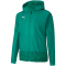PUMA teamGOAL 23 Training Regenjacke pepper green/power green 3XL