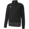 PUMA teamGOAL 23 Trainingsjacke PUMA black/asphalt L
