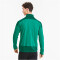 PUMA teamGOAL 23 Trainingsjacke pepper green/power green 3XL