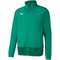 PUMA teamGOAL 23 Trainingsjacke pepper green/power green L