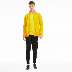 PUMA teamGOAL 23 Trainingsjacke cyber yellow/spectra yellow L