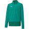PUMA teamGOAL 23 Training 1/4-Zip Top Kinder pepper green/power green 116