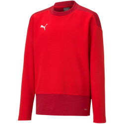 PUMA teamGOAL 23 Training Sweatshirt Kinder puma...
