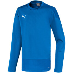 PUMA teamGOAL 23 Training Sweatshirt Kinder electric blue...