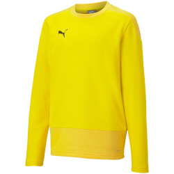 PUMA teamGOAL 23 Training Sweatshirt Kinder cyber...