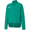 PUMA teamGOAL 23 Trainingsjacke Kinder pepper green/power green 152