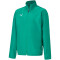 PUMA teamGOAL 23 Sideline Präsentationsjacke Kinder pepper green/power green 152