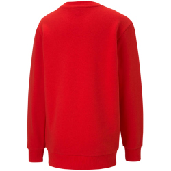3er Pack PUMA teamGOAL 23 Casuals Crew Neck Sweatshirt Kinder PUMA red 116