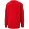 3er Pack PUMA teamGOAL 23 Casuals Crew Neck Sweatshirt Kinder PUMA red 116