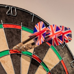 carromco Dart Set Steeldartscheibe + 3 Softdarts + 3...