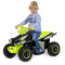 carromco Elektrofahrzeug Quad Force Kinder