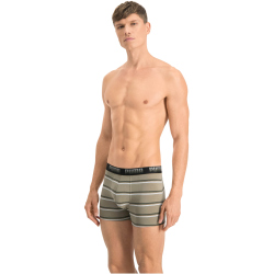 2er Pack PUMA Gradient Stripe Boxershorts Herren green combo S