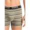 2er Pack PUMA Gradient Stripe Boxershorts Herren green combo S