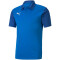 PUMA teamGOAL 23 Sideline Poloshirt electric blue lemonade/team power blue L